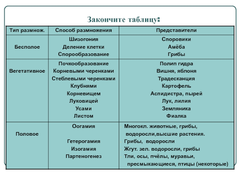 Omg даркнет не работает